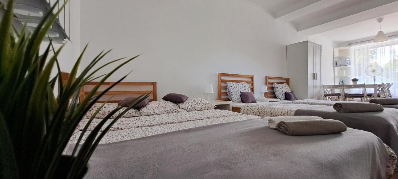 Apartament Na Szkolnej Zator Exteriör bild
